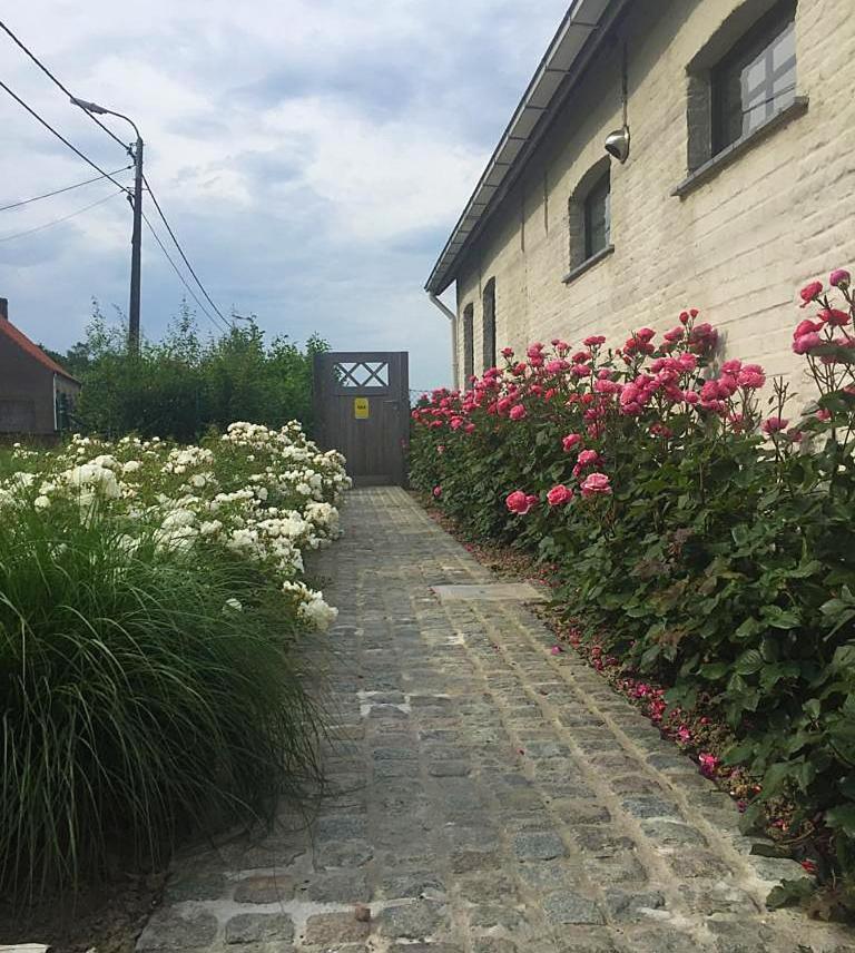 Hooglede B&B Gitsdal מראה חיצוני תמונה